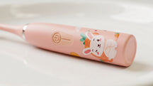 Sonic Electric Toothbrush